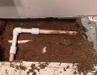 源汇测漏水哪家好