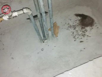 源汇卫生间测漏水价格明细